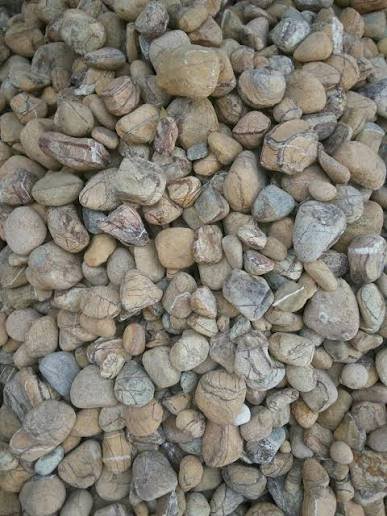 Bidasar Pebbles Blowup
